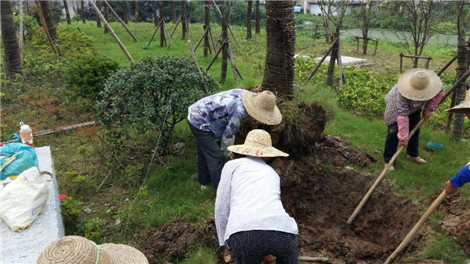 首页| 2003网站太阳集团接待您!