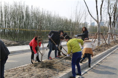 首页| 2003网站太阳集团接待您!