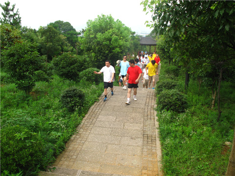 首页| 2003网站太阳集团接待您!