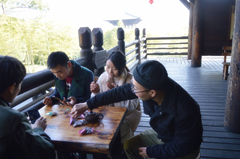 首页| 2003网站太阳集团接待您!