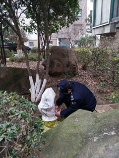 首页| 2003网站太阳集团接待您!