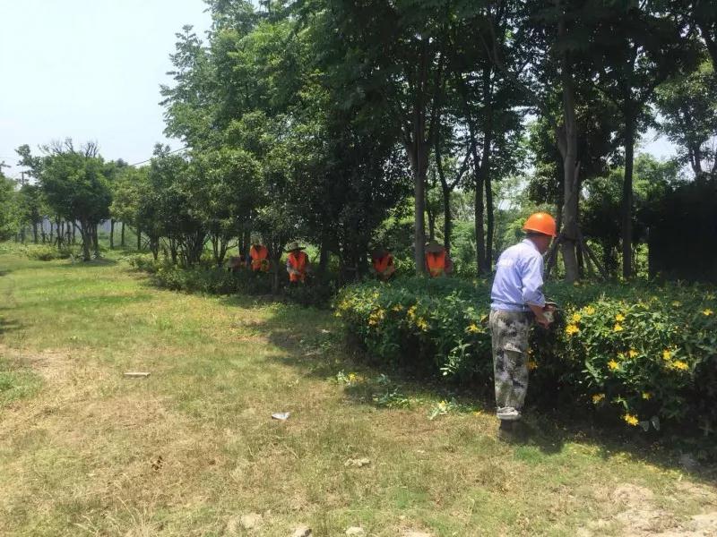 首页| 2003网站太阳集团接待您!