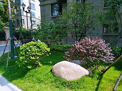 首页| 2003网站太阳集团接待您!