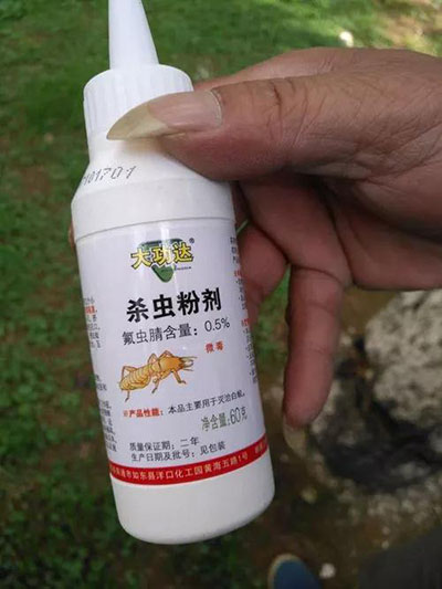 首页| 2003网站太阳集团接待您!