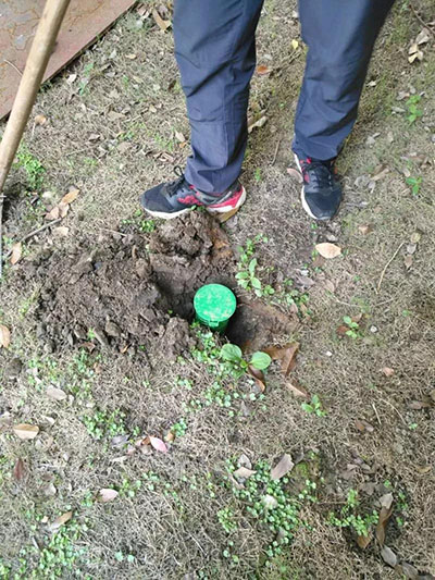 首页| 2003网站太阳集团接待您!