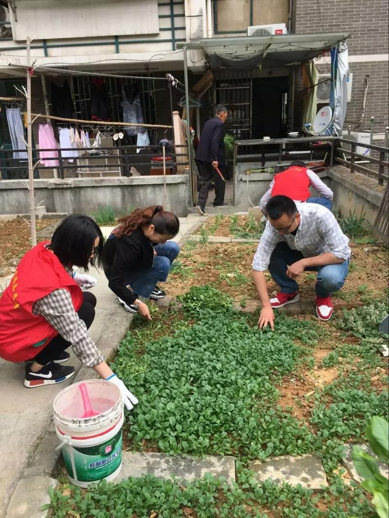 首页| 2003网站太阳集团接待您!