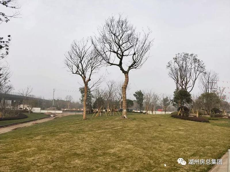 首页| 2003网站太阳集团接待您!