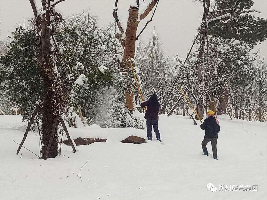 首页| 2003网站太阳集团接待您!