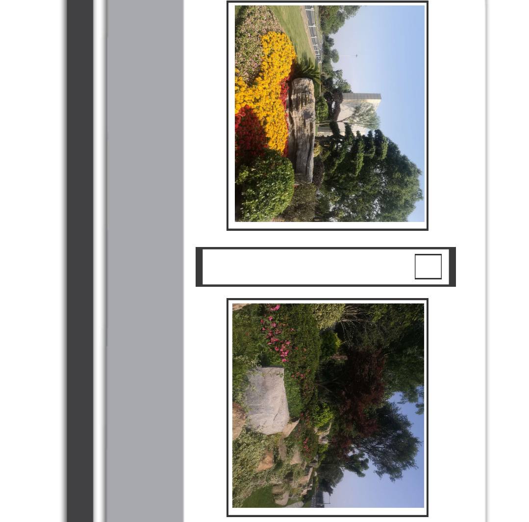 首页| 2003网站太阳集团接待您!