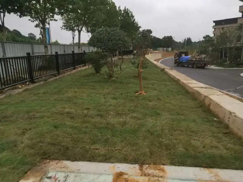 首页| 2003网站太阳集团接待您!