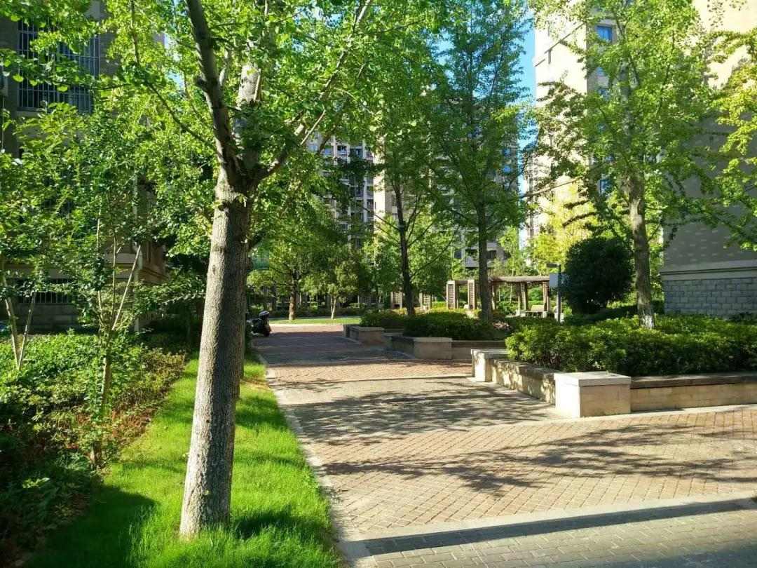 首页| 2003网站太阳集团接待您!