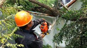 市城投集团全体员工坚守岗位 协力抗台