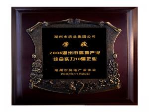 2006市房地工业综合实力10强企业