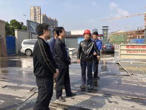 吴兴区人大常委会副主任汤益培率队调研检查达昌府项目