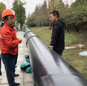 外环线绿化工程2#、3#标段“补植复绿” 事情稳步推进